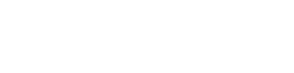 山東新視覺數碼